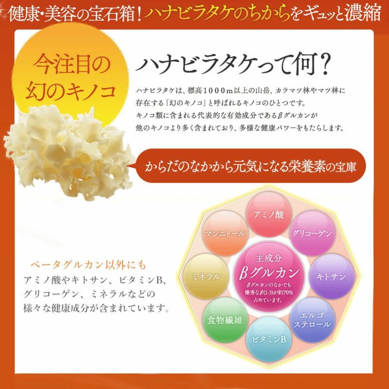 国産 ハナビラタケパウダータイプ 100％粉末【100g】 | 健康食品 奥伊勢屋